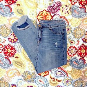 Lane bryant distressed jeans